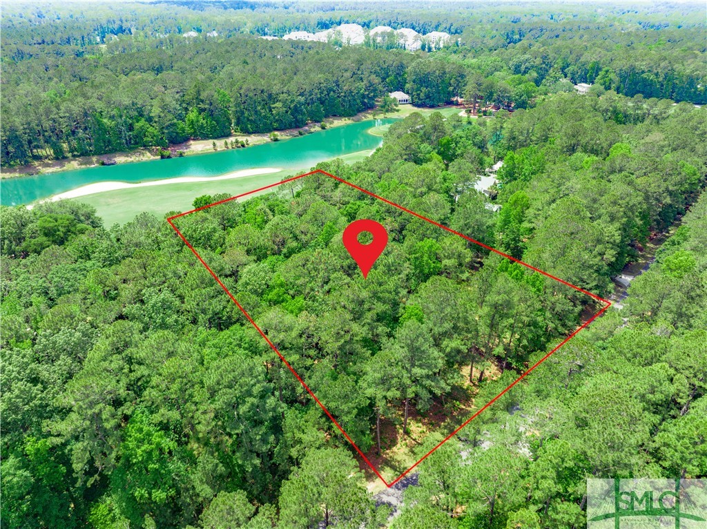 166 Belted Kingfisher Lane, Richmond Hill, GA 31324