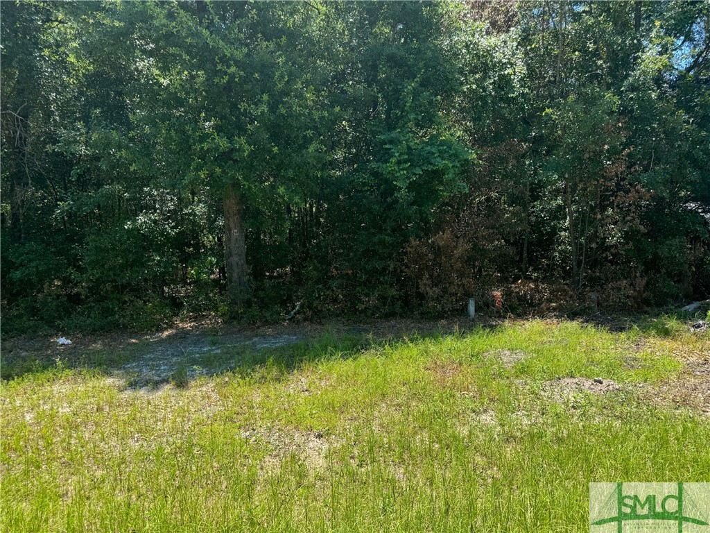 0 Rincon Stillwell Road, Rincon, GA 31326