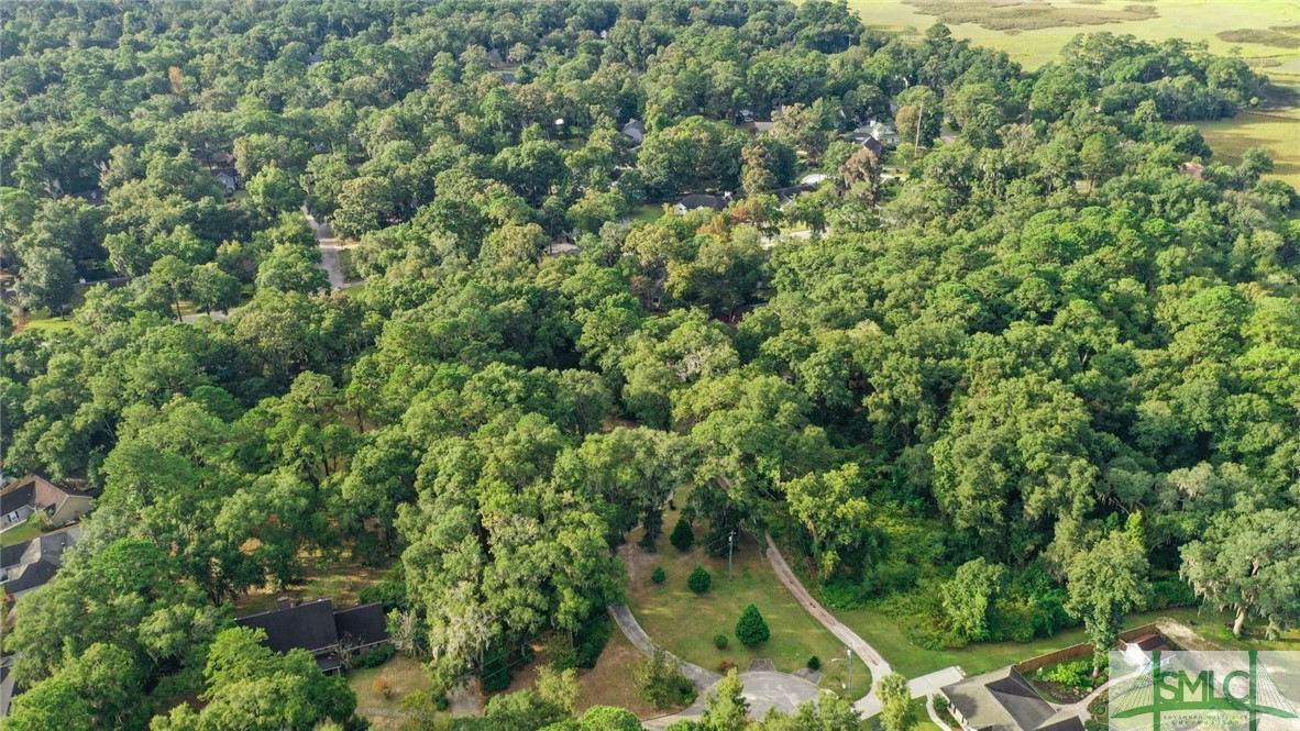 225 Coffee Bluff Villa Road, Savannah, GA 31419